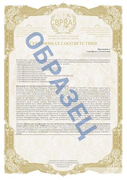 Образец Приложение к СТО 01.064.00220722.2-2020 Тамбов Сертификат СТО 01.064.00220722.2-2020 